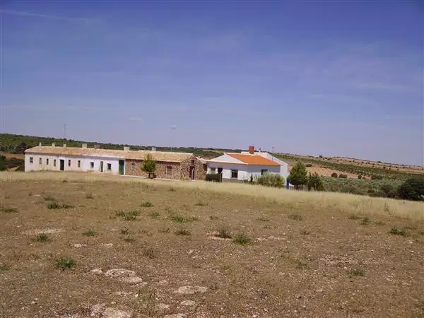 coto privado de caza CR-10286 DENOMINADO SAN FELIPE en Tomelloso