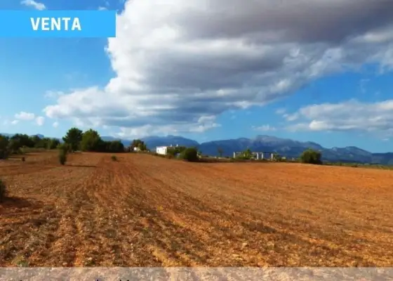 Finca Rústica en Explotación - Puertollano en Puertollano