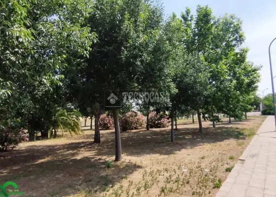 Terrenos en venta en Mora - Mora, 16.000 €, 178 m2, ref. 617062 en Mora