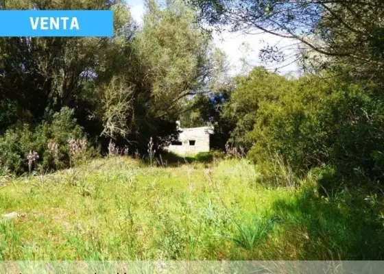 Finca de Monte Mediterráneo y Caza menor - Horcajo de los Montes. en Horcajo de los Montes