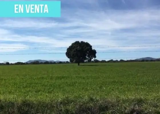 Terreno en venta en carretera cm, km 4.017 en Retuerta del Bullaque
