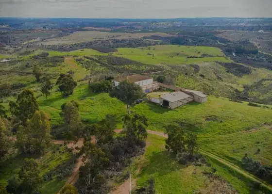 En venta finca con regadío, ganadera y con coto de caza en Ciudad Real en Corral de Calatrava