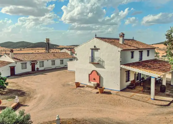 Venta de finca cinegética y agrícola en Ciudad Real en Almuradiel