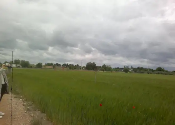 FINCA RUSTICA DE 80 h VIÑA EMPARRADA en Socuéllamos
