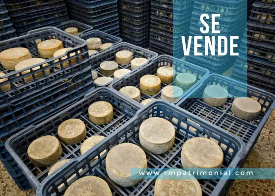 Fabrica de Queso Manchego en Venta en Ciudad Real