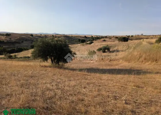 Terrenos en venta en Méntrida - Centro Ciudad, 25.000 €, 3600 m2, ref. 662745 en Méntrida