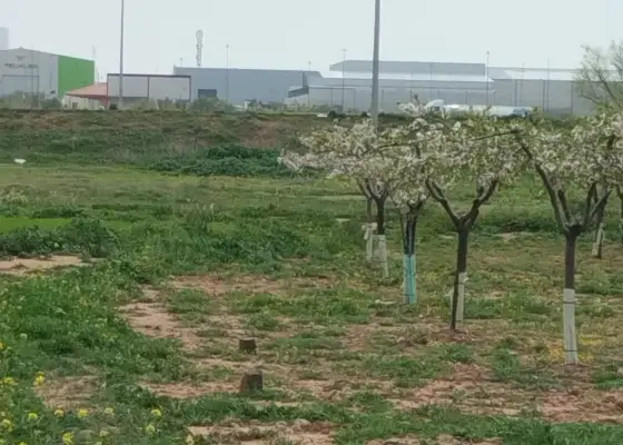 Finca rustica a 100 metros del polg. Industrial alces en Alcázar de San Juan