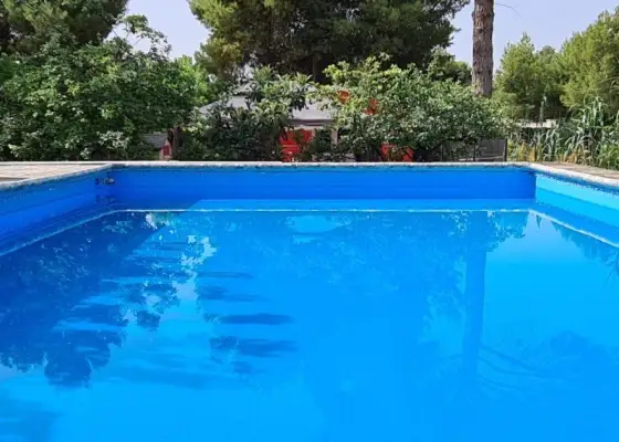 Inmohouse Alquila parcela a 7km de Albacete en Albacete