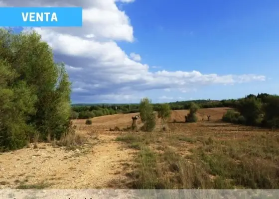 Finca Los Llanillos - Lagunas de Ruidera en Ruidera